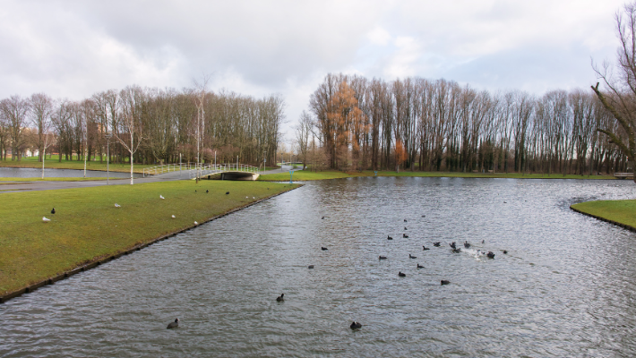 Schiebroek - uitvaart Schiebroek - afscheid Schiebroek - uitvaart rotterdam - uitvaart regelen Schiebroek - uitvaartondernemer Schiebroek - uitvaartzorg - rememberme Schiebroek